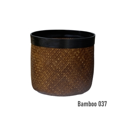 Bamboo 037